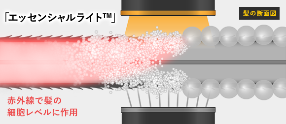 ハーバルバンブー　トリートメント